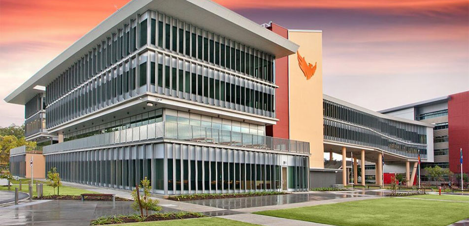 Consulting, Feasibility & Advisory